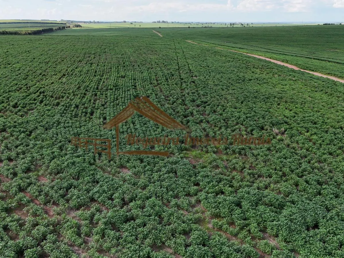 Fazenda à venda de 169 ha em Avaré, SP, Brasil