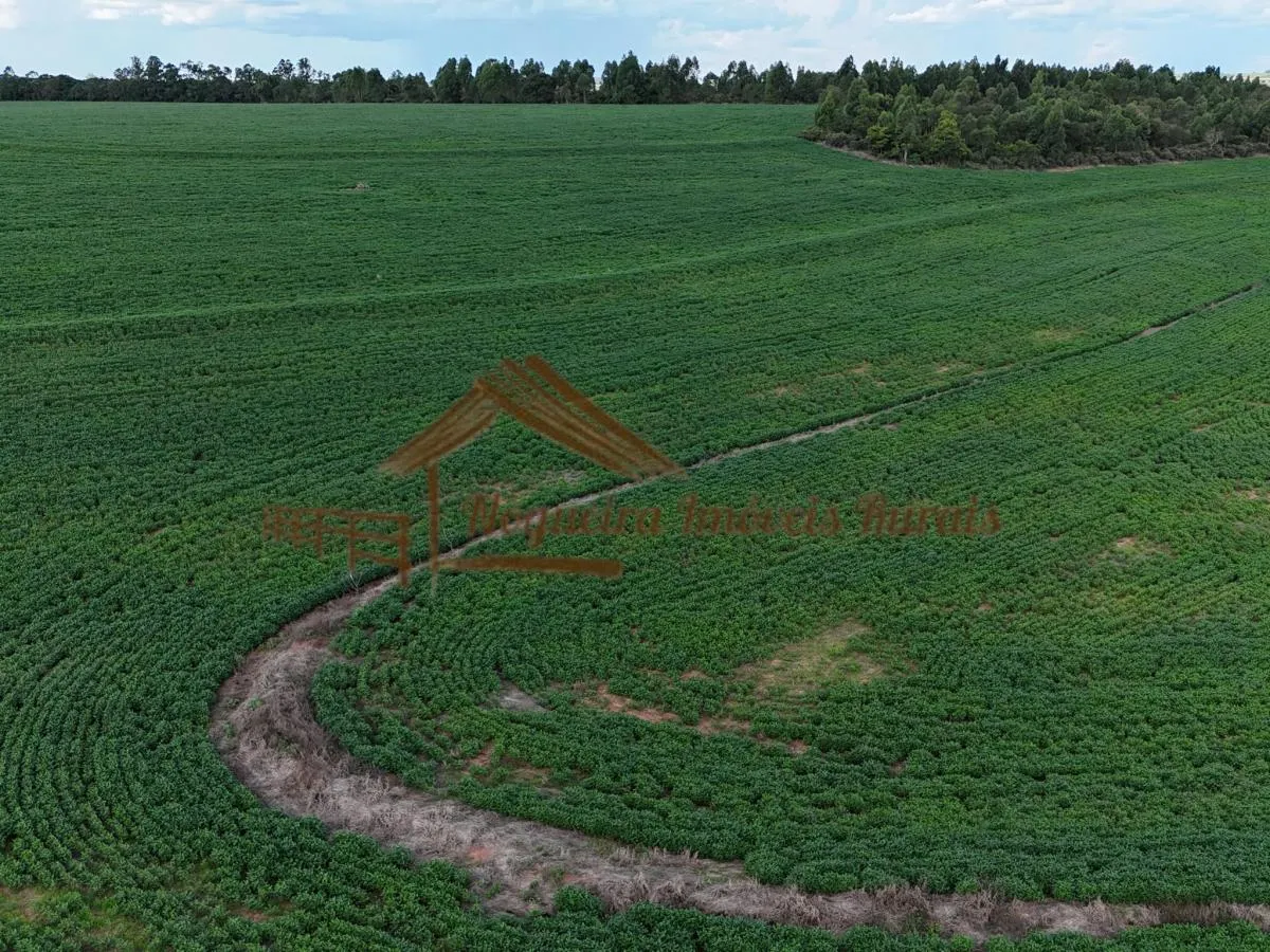 Fazenda à venda de 169 ha em Avaré, SP, Brasil