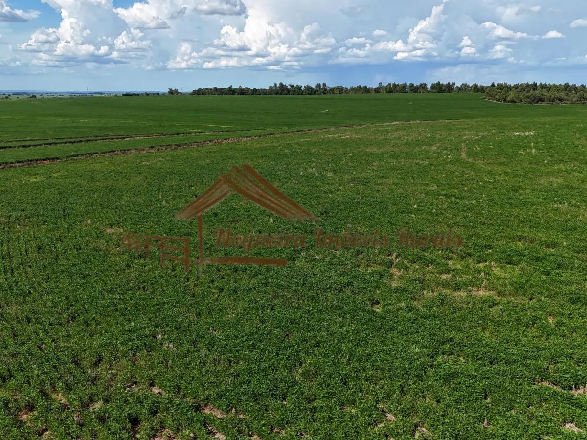 Fazenda à venda de 169 ha em Avaré, SP, Brasil
