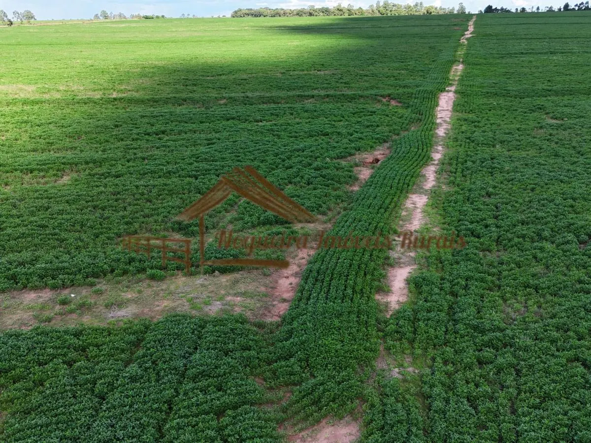 Fazenda à venda de 169 ha em Avaré, SP, Brasil