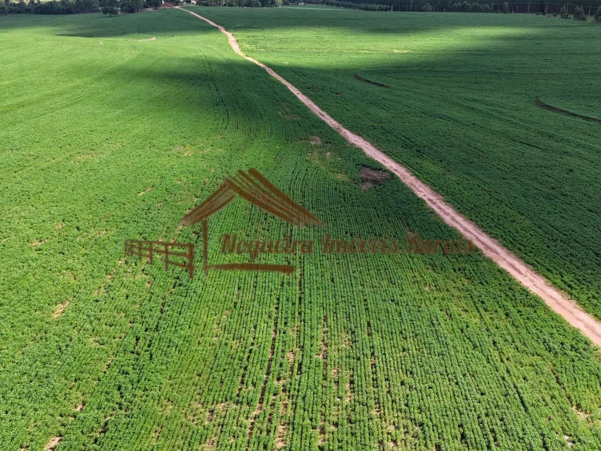 Fazenda à venda de 169 ha em Avaré, SP, Brasil