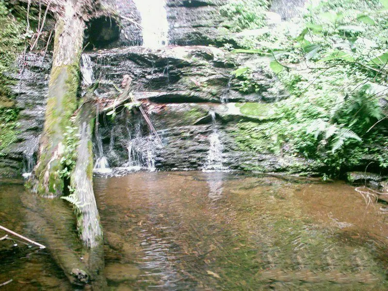 Chácara à venda de 16 ha em José Boiteux, SC, Brasil