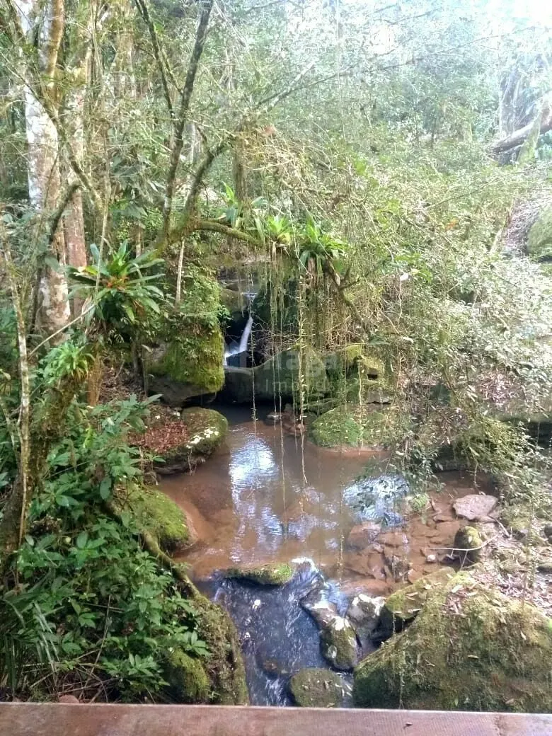 Chácara à venda de 16 ha em José Boiteux, SC, Brasil