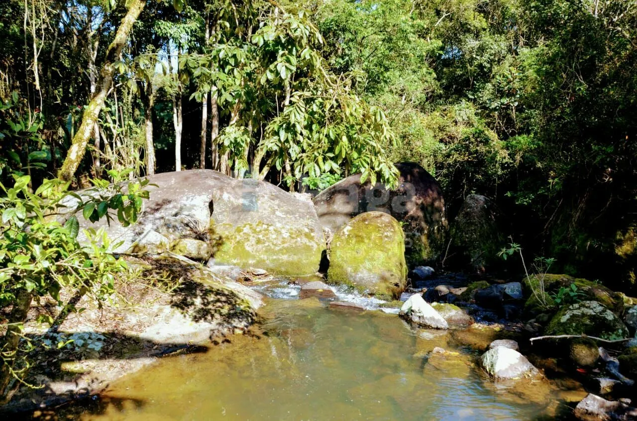 Chácara à venda de 16 ha em José Boiteux, SC, Brasil