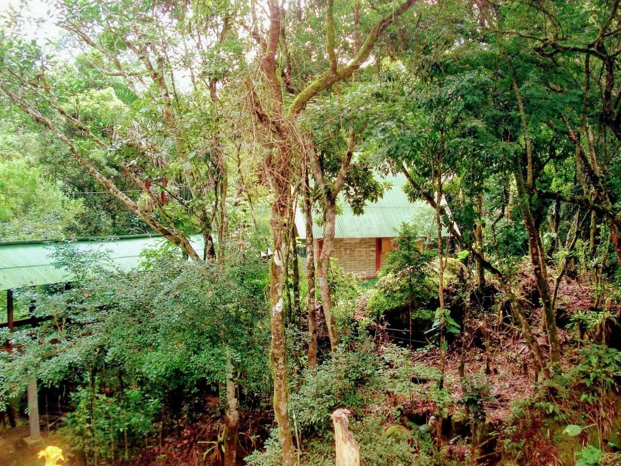 Chácara à venda de 16 ha em José Boiteux, SC, Brasil