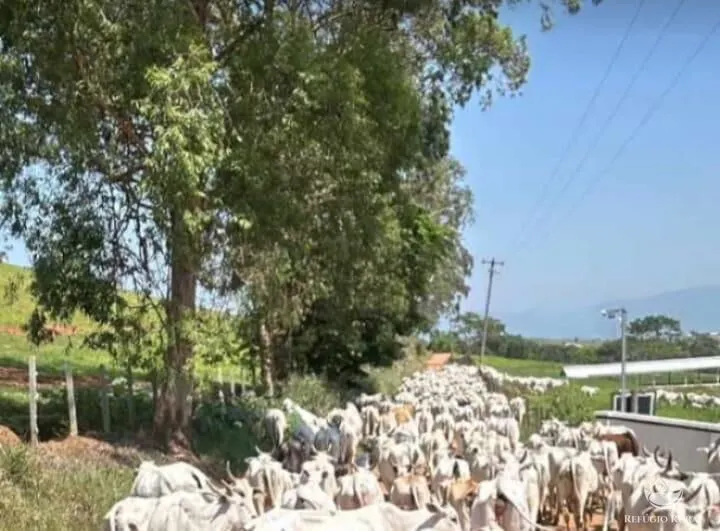 Fazenda à venda de 258 ha em Lorena, SP, Brasil