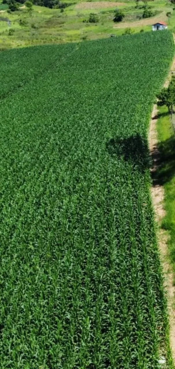 Fazenda à venda de 258 ha em Lorena, SP, Brasil