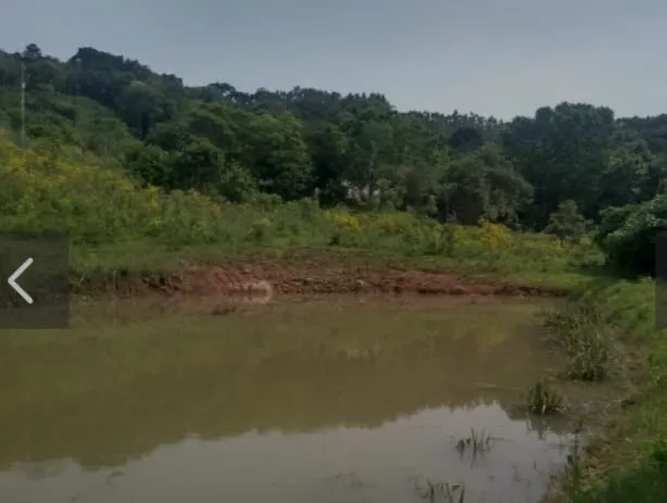 Sítio à venda de 11 ha em Muçum, RS, Brasil