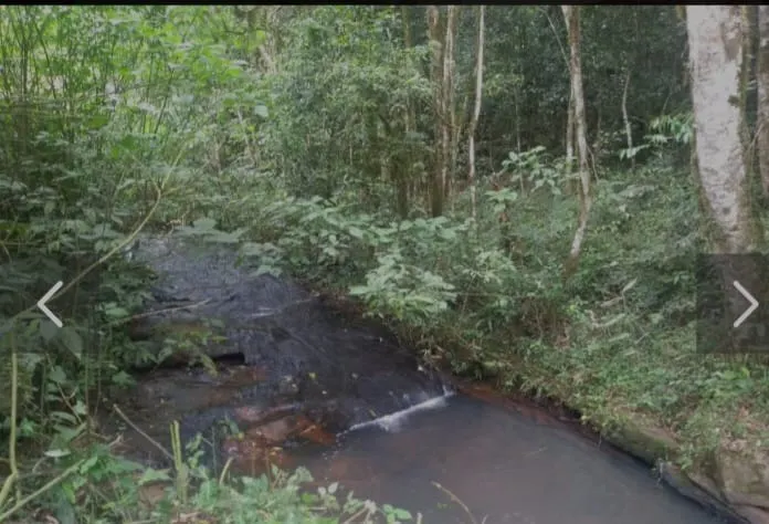 Sítio à venda de 11 ha em Muçum, RS, Brasil