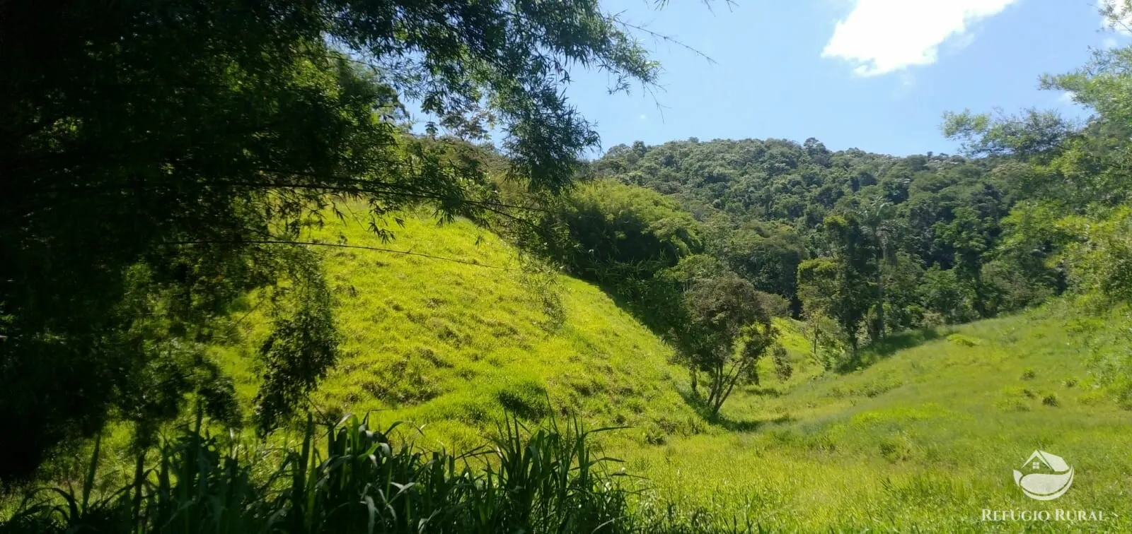Plot for sale of 15 acres in Monteiro Lobato, SP, Brazil