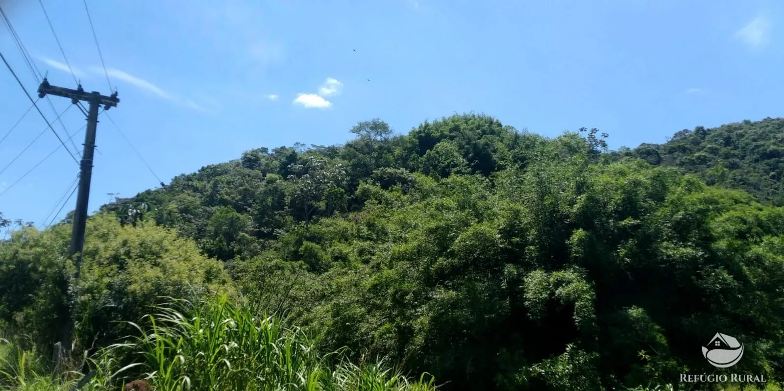 Plot for sale of 15 acres in Monteiro Lobato, SP, Brazil