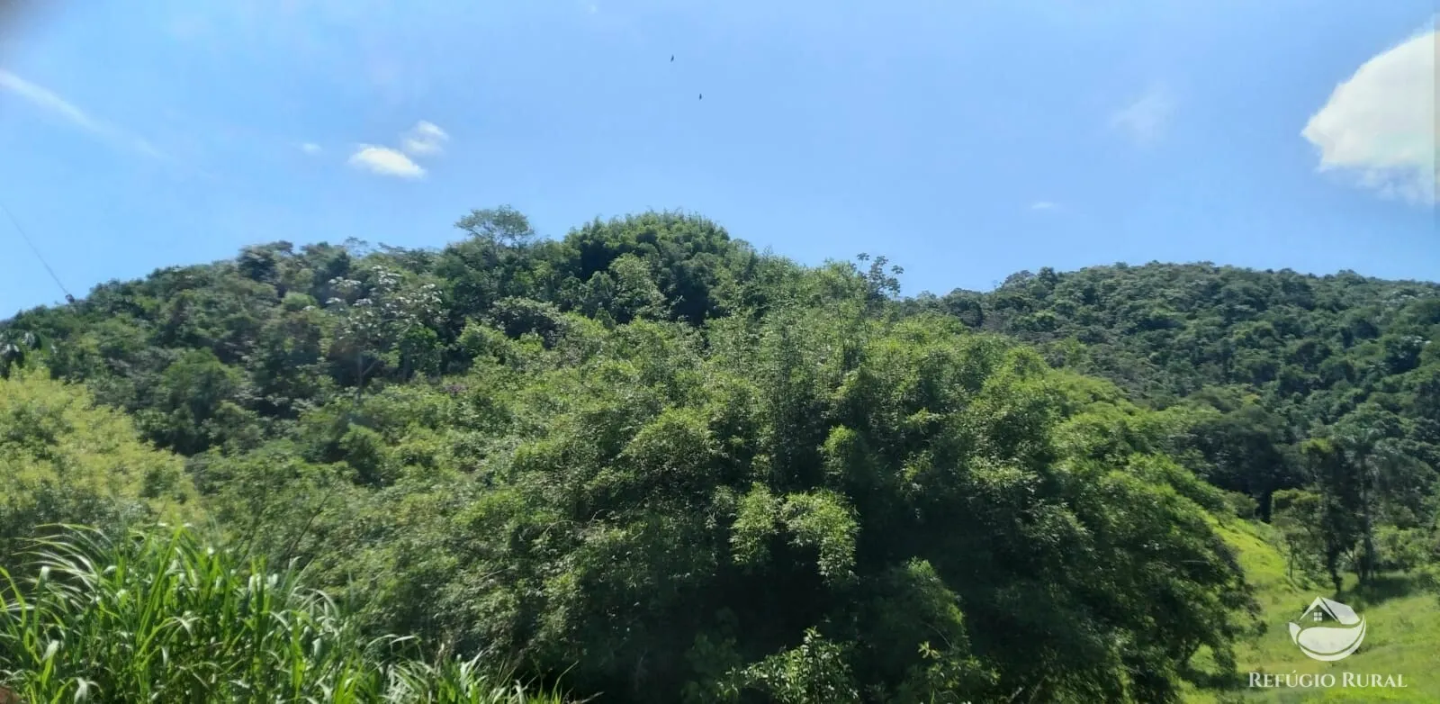 Plot for sale of 15 acres in Monteiro Lobato, SP, Brazil
