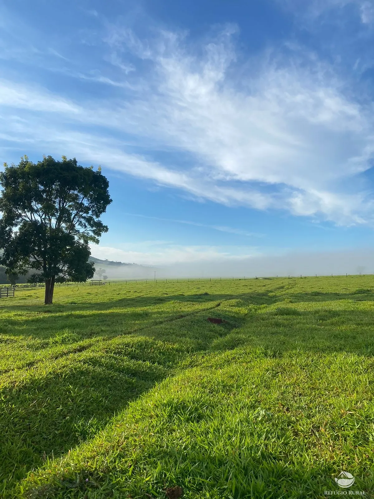 Fazenda à venda de 1.258 ha em Corumbá de Goiás, GO, Brasil