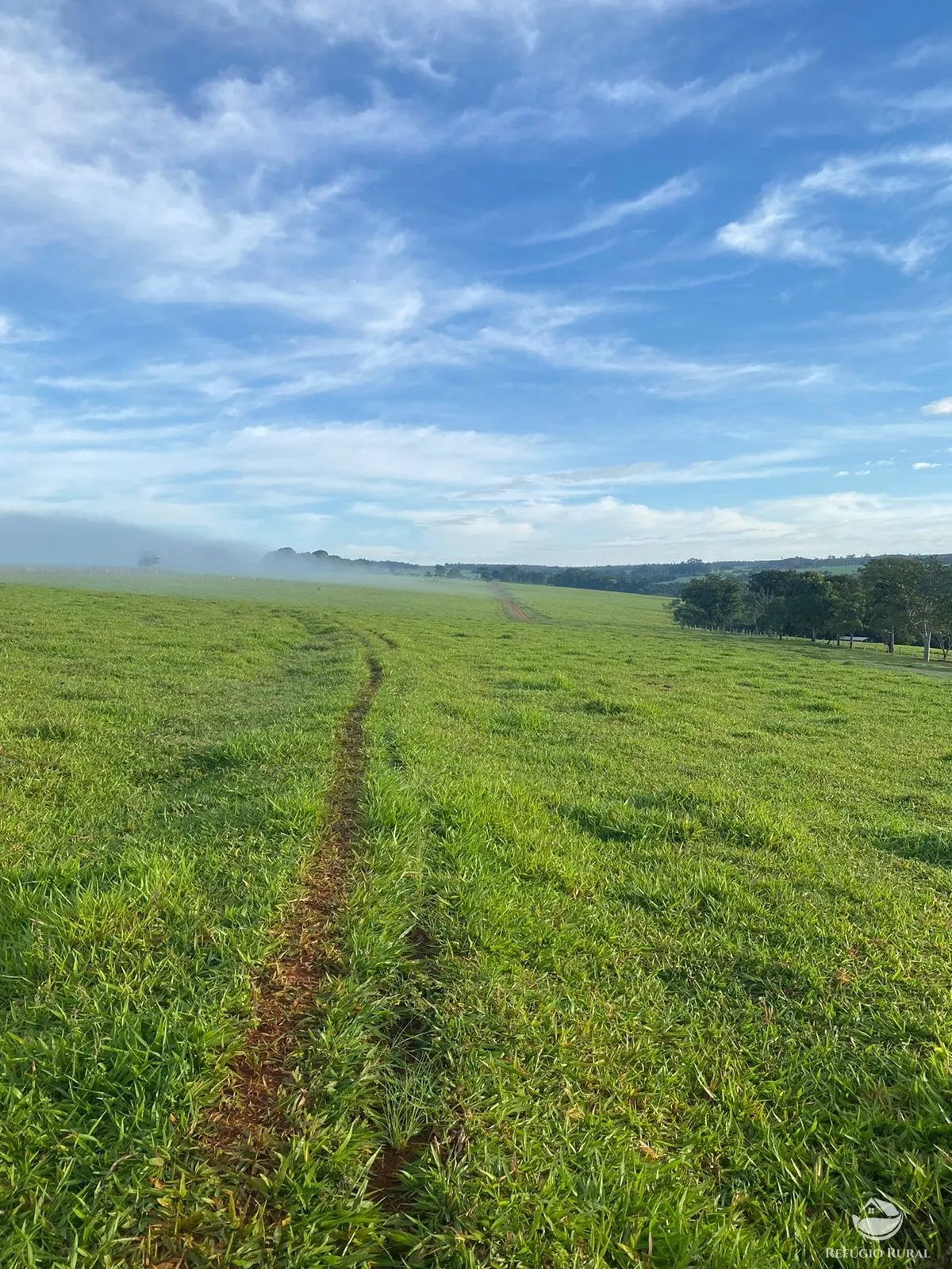 Fazenda à venda de 1.258 ha em Corumbá de Goiás, GO, Brasil