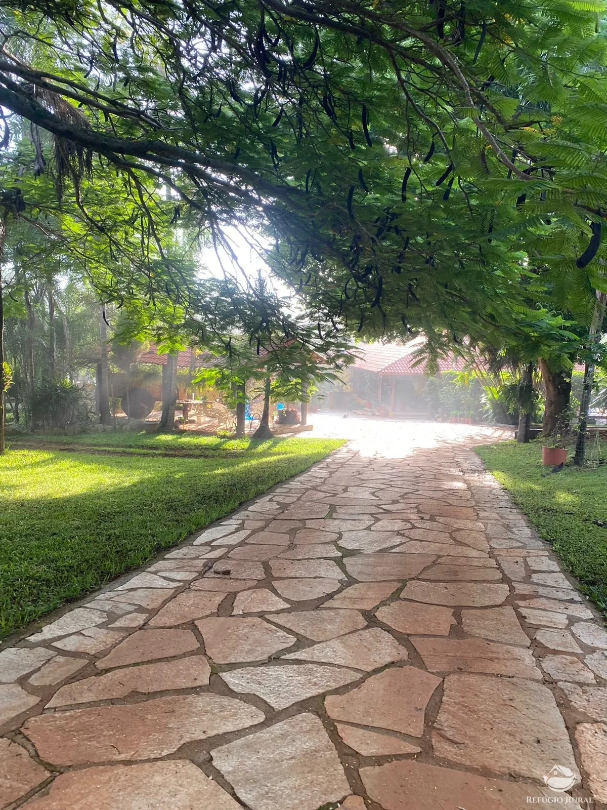 Fazenda à venda de 1.258 ha em Corumbá de Goiás, GO, Brasil