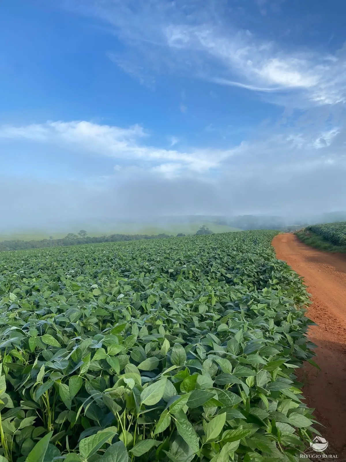 Fazenda à venda de 1.258 ha em Corumbá de Goiás, GO, Brasil