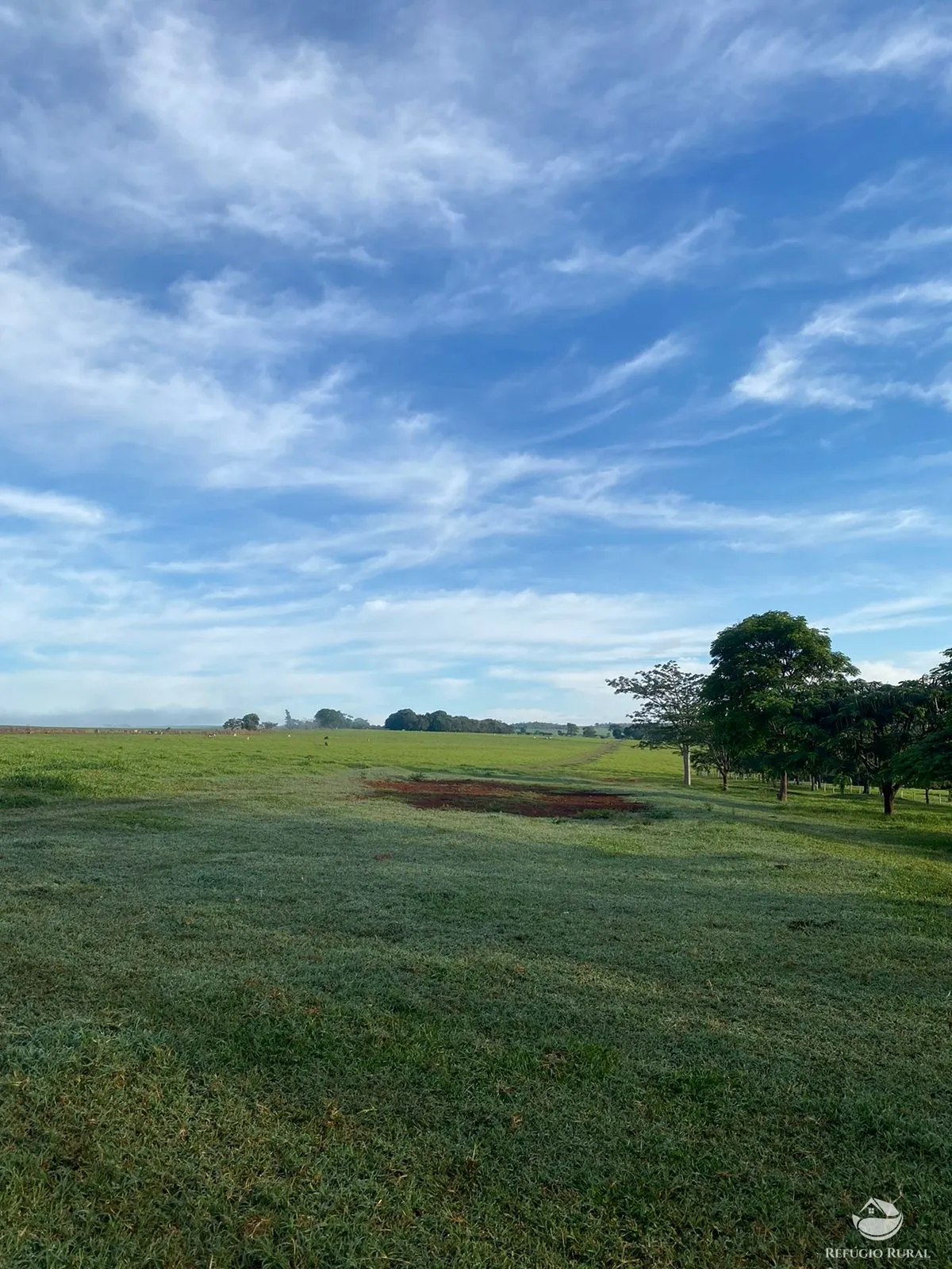 Fazenda à venda de 1.258 ha em Corumbá de Goiás, GO, Brasil