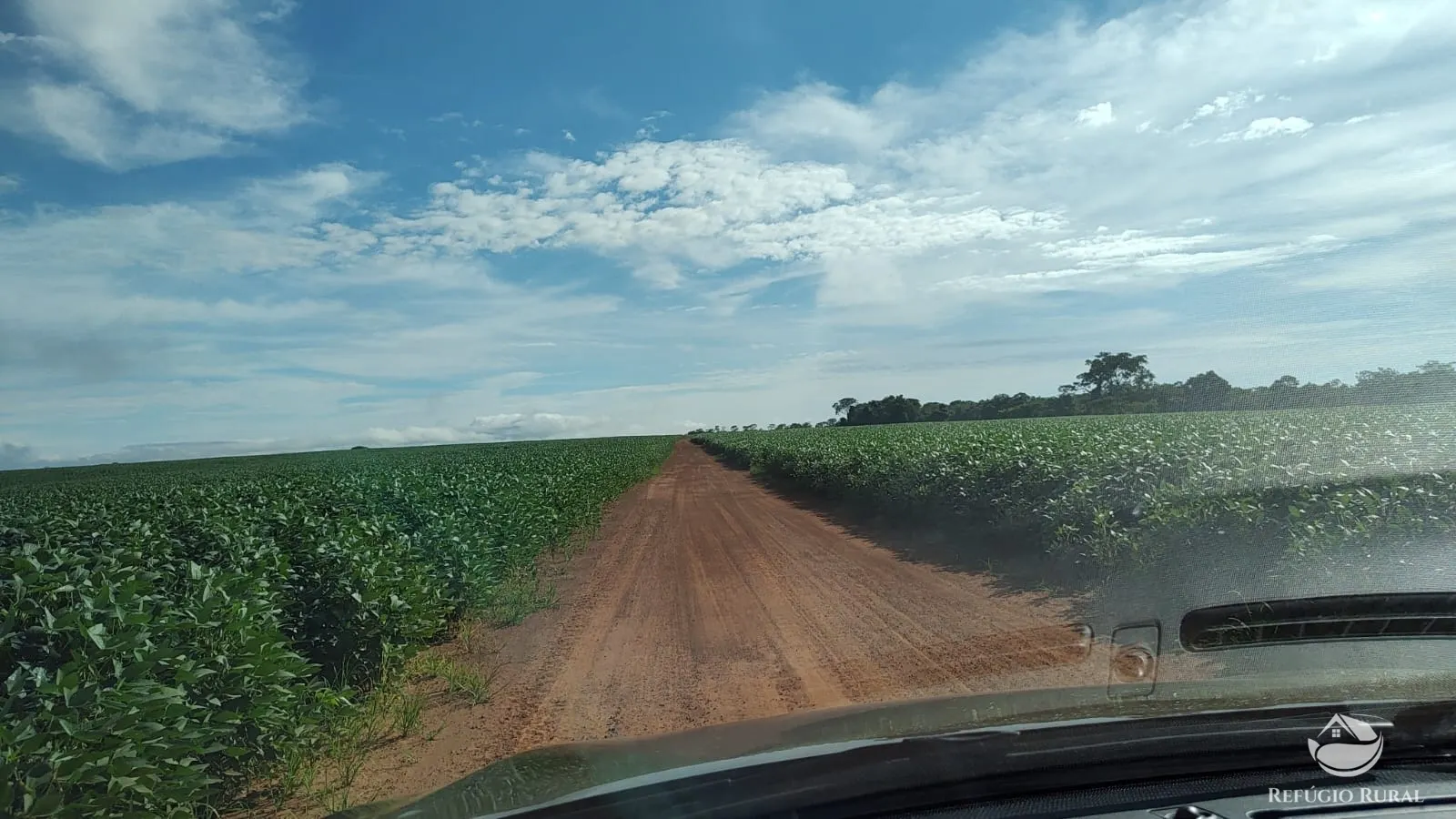 Fazenda à venda de 1.258 ha em Corumbá de Goiás, GO, Brasil
