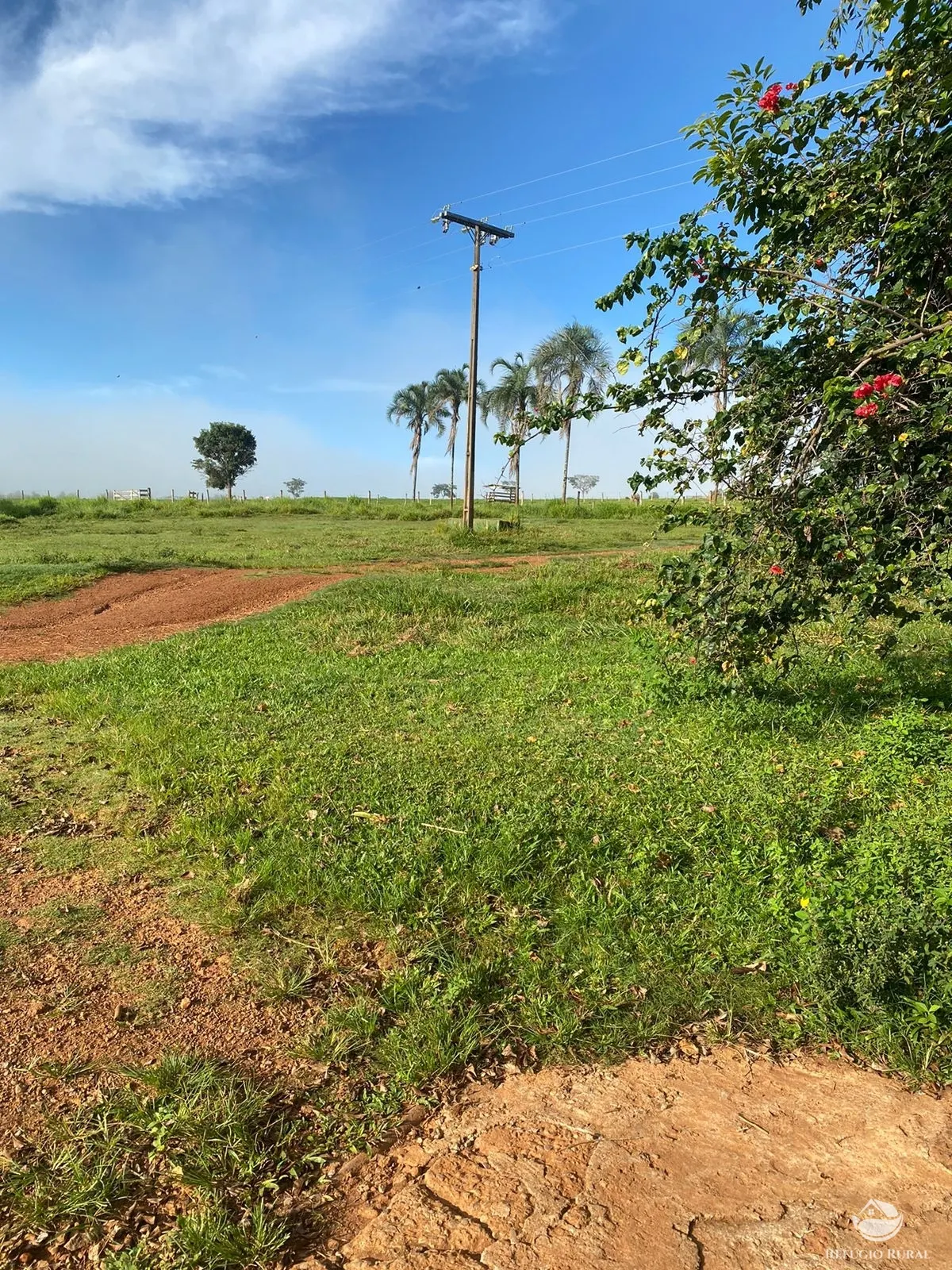 Fazenda à venda de 1.258 ha em Corumbá de Goiás, GO, Brasil