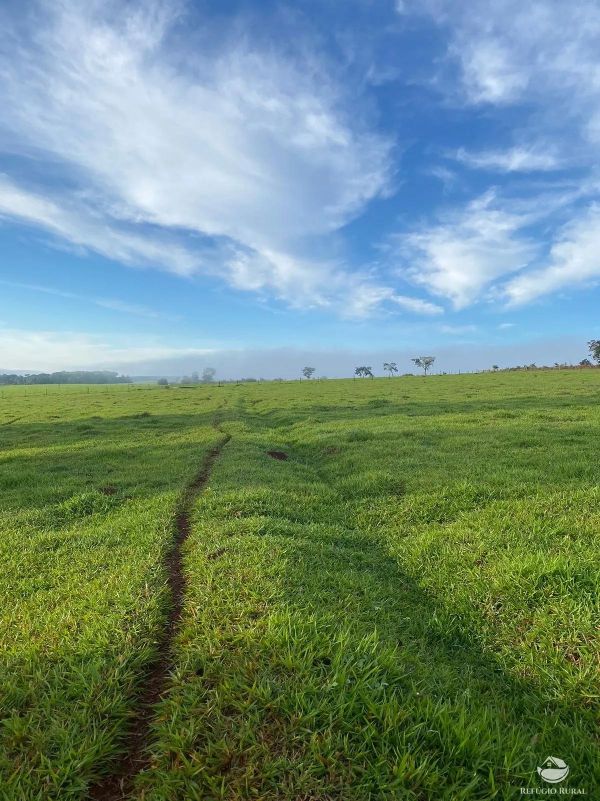 Fazenda à venda de 1.258 ha em Corumbá de Goiás, GO, Brasil