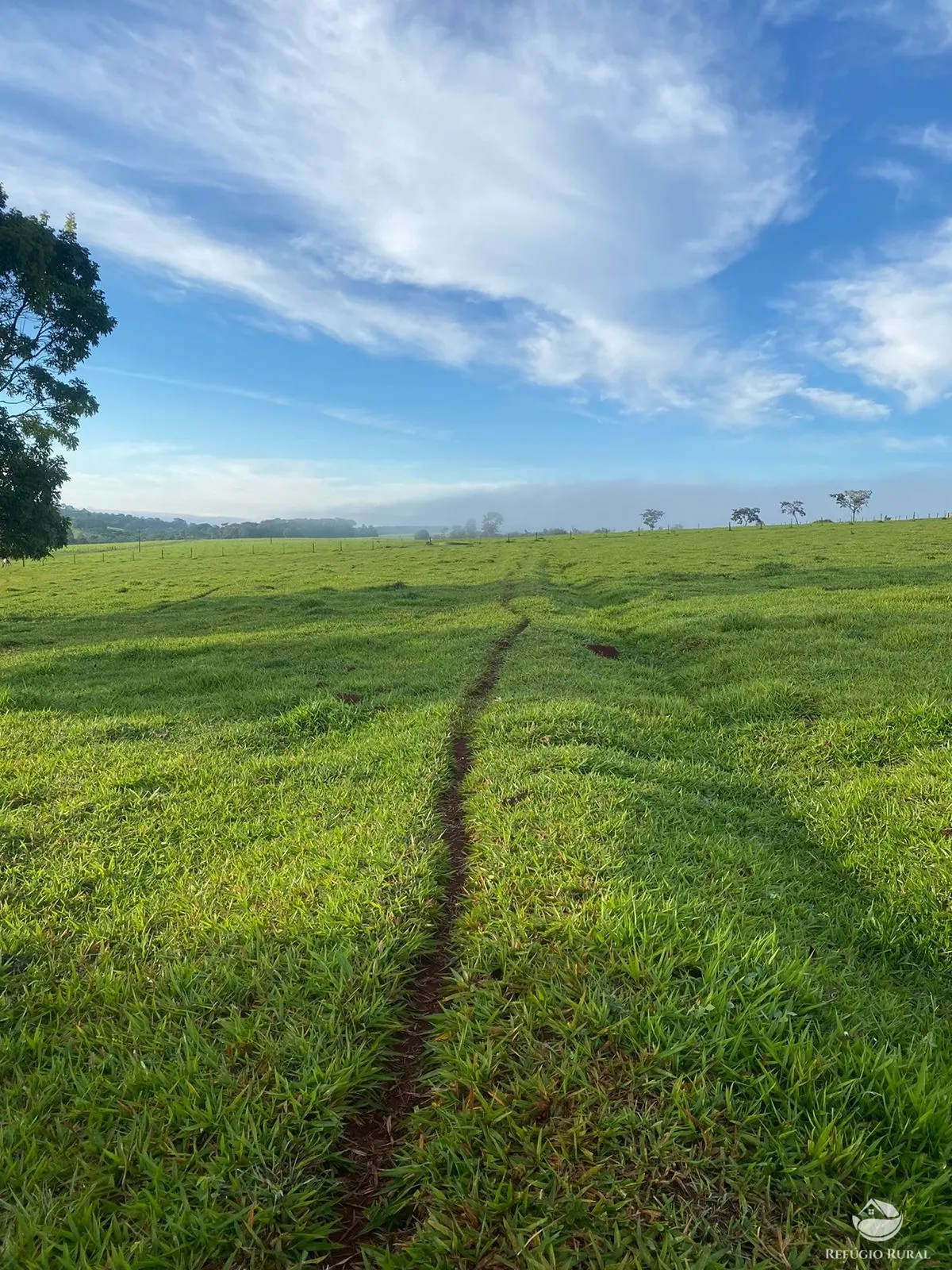 Fazenda à venda de 1.258 ha em Corumbá de Goiás, GO, Brasil