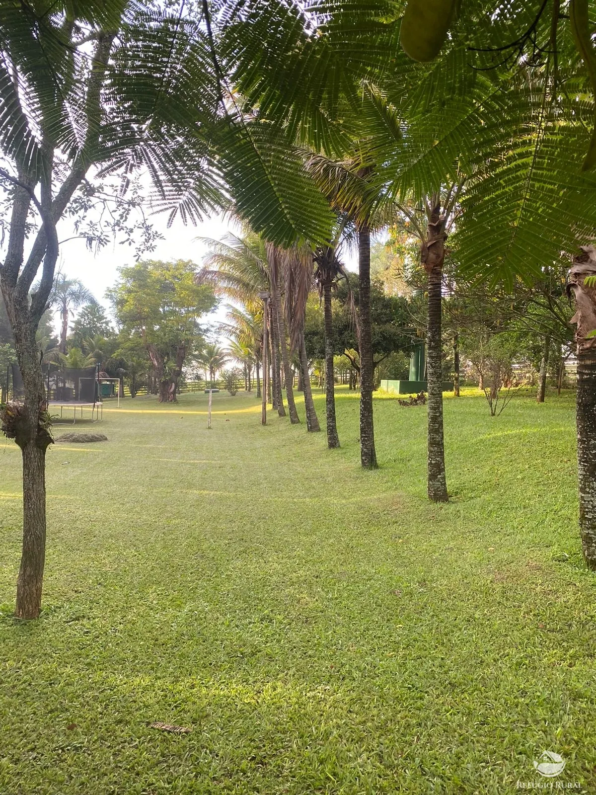 Fazenda à venda de 1.258 ha em Corumbá de Goiás, GO, Brasil