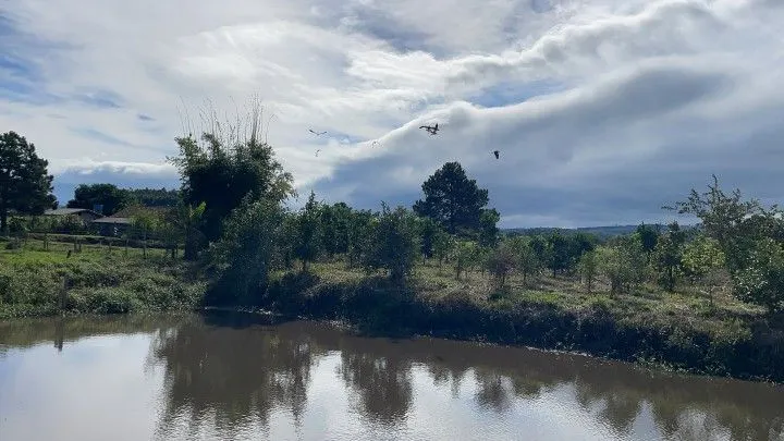 Chácara à venda de 7.300 m² em Santo Antônio da Patrulha, RS, Brasil