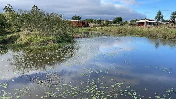 Chácara à venda de 7.300 m² em Santo Antônio da Patrulha, RS, Brasil