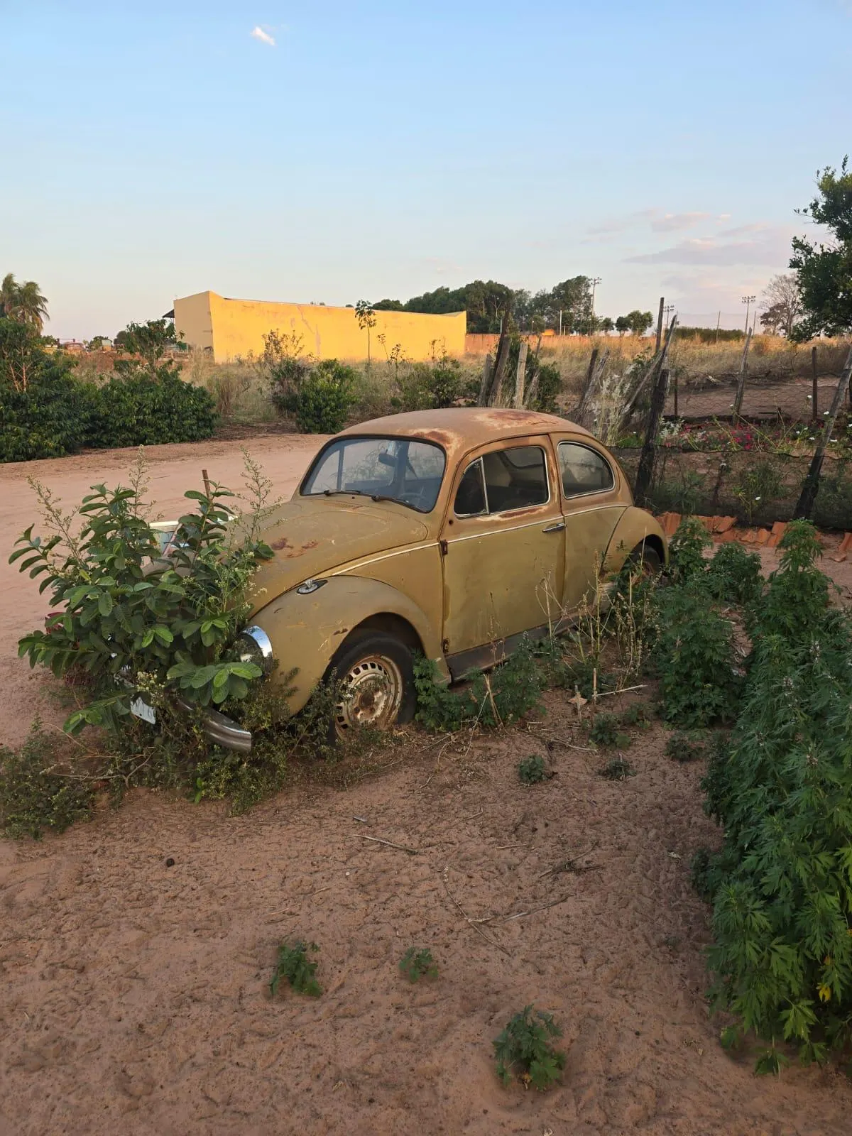Country home for sale of 9 acres in Dracena, SP, Brazil