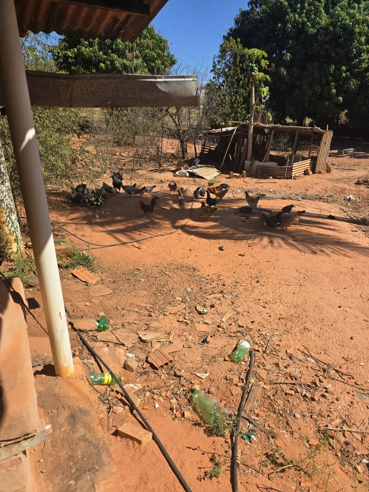 Country home for sale of 9 acres in Dracena, SP, Brazil