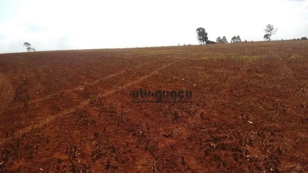 Fazenda à venda de 499 ha em Itaí, SP, Brasil
