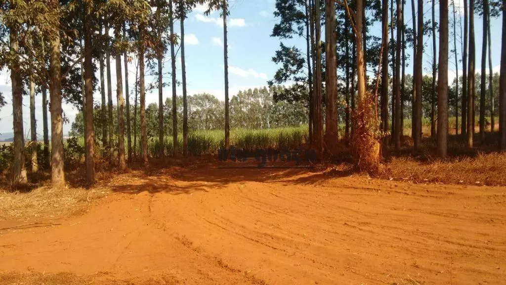 Fazenda à venda de 499 ha em Itaí, SP, Brasil