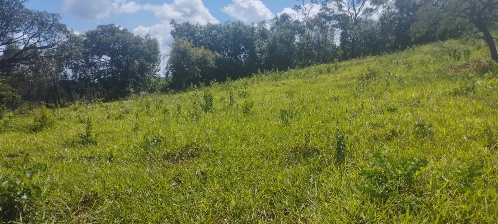 Plot for sale of 5 acres in Itaguara, MG, Brazil