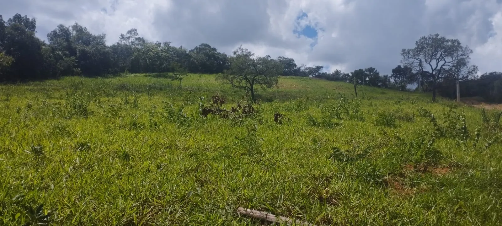 Plot for sale of 5 acres in Itaguara, MG, Brazil