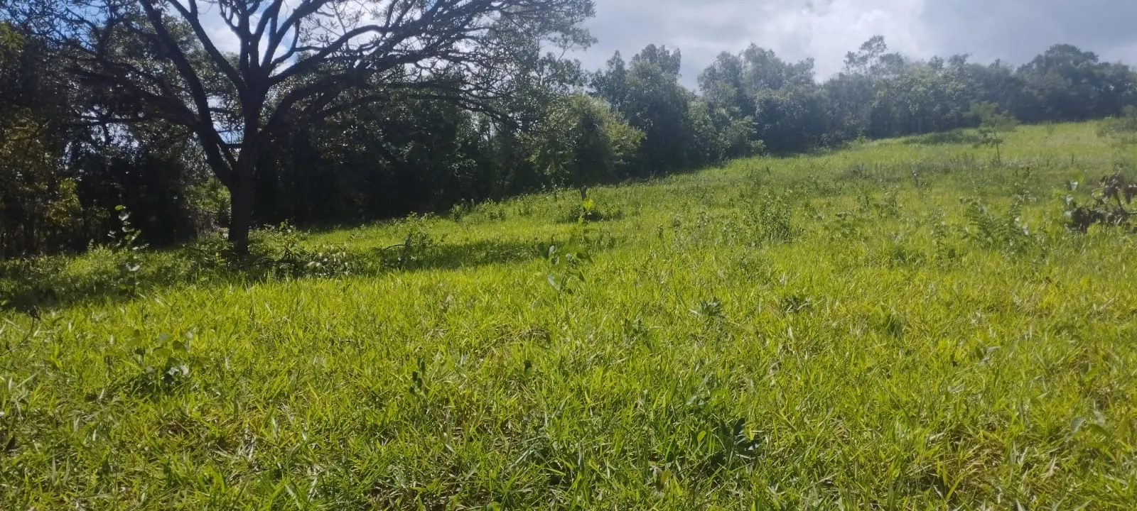 Terreno à venda de 2 ha em Itaguara, MG, Brasil