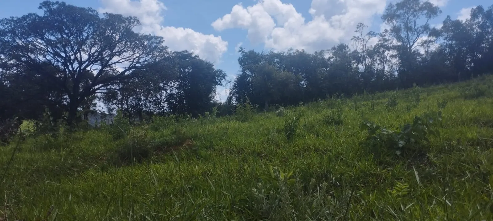 Plot for sale of 5 acres in Itaguara, MG, Brazil