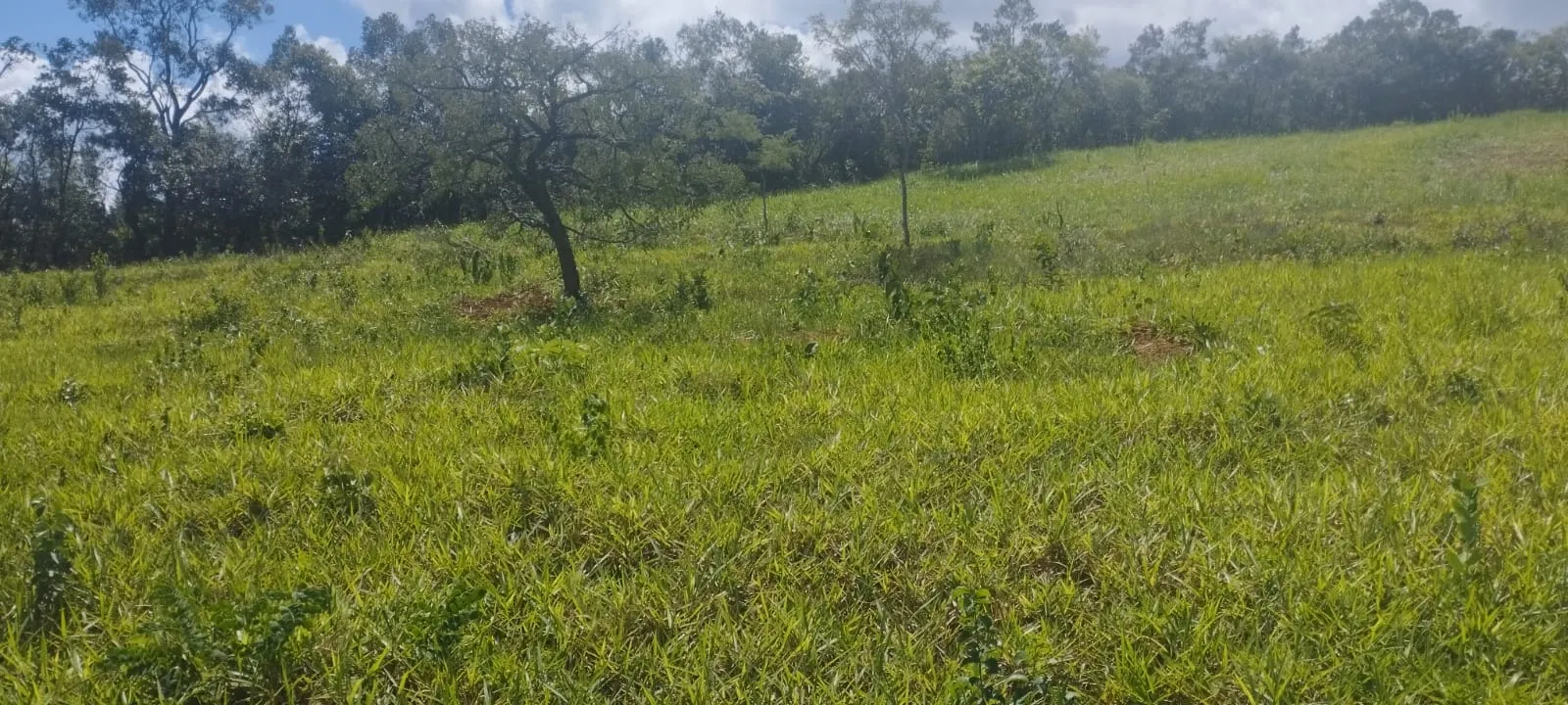 Plot for sale of 5 acres in Itaguara, MG, Brazil