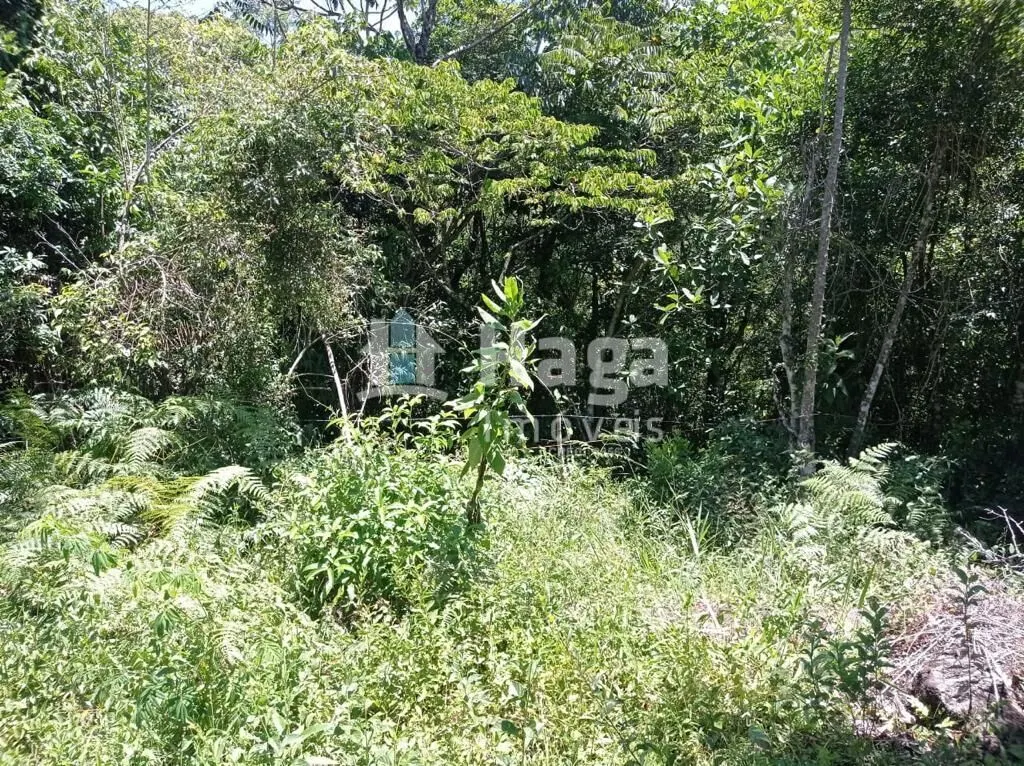 Chácara à venda de 1 ha em Canelinha, SC, Brasil