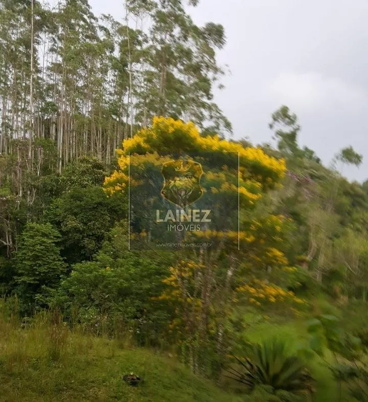 Sítio à venda de 5 ha em Juquitiba, SP, Brasil