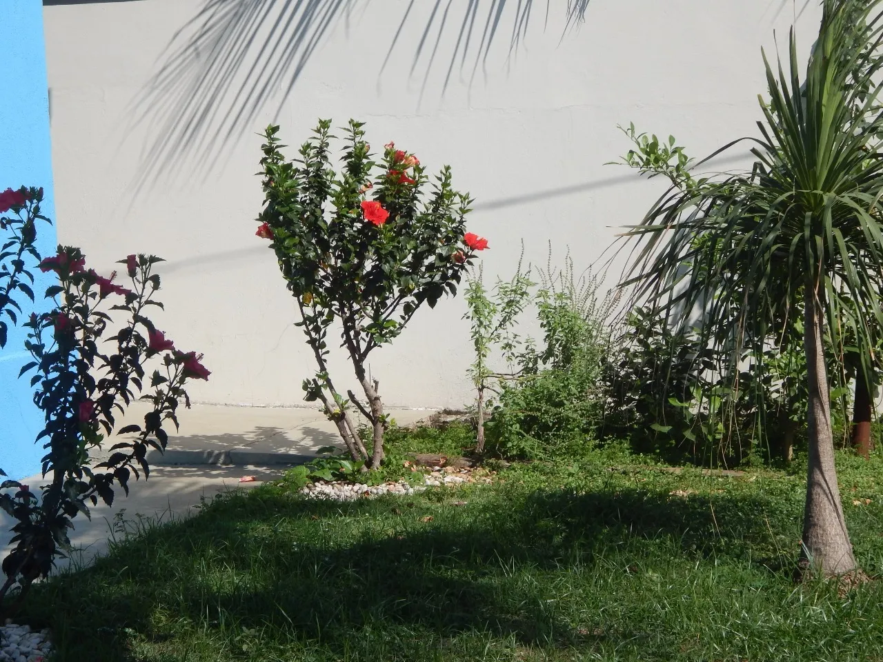 House for sale of 800 m² in Hortolândia, SP, Brazil