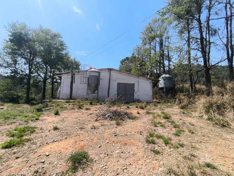Sítio à venda de 13 ha em Bragança Paulista, SP, Brasil