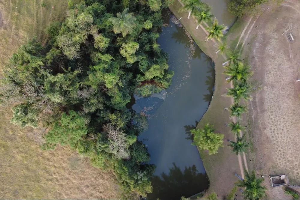 Sítio à venda de 5 ha em Itapira, SP, Brasil