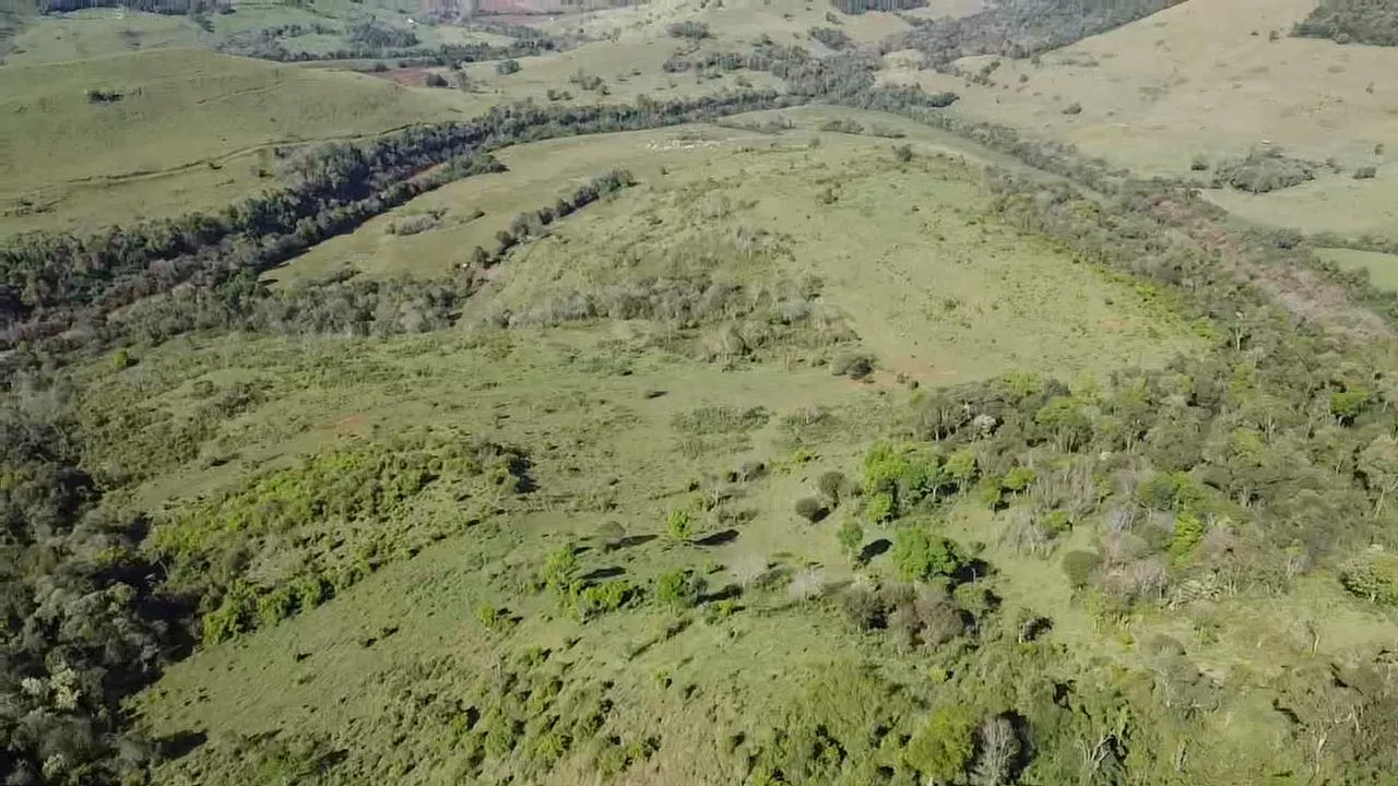 Fazenda à venda de 82 ha em Ampére, PR, Brasil