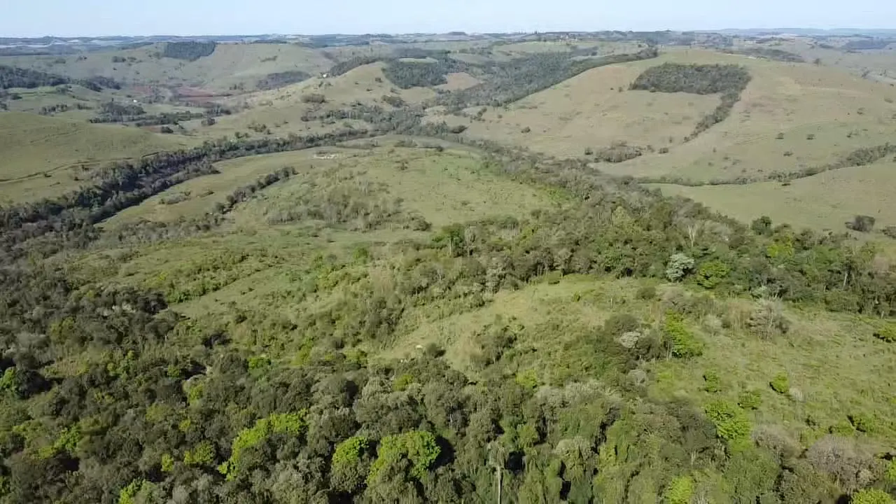 Fazenda à venda de 82 ha em Ampére, PR, Brasil