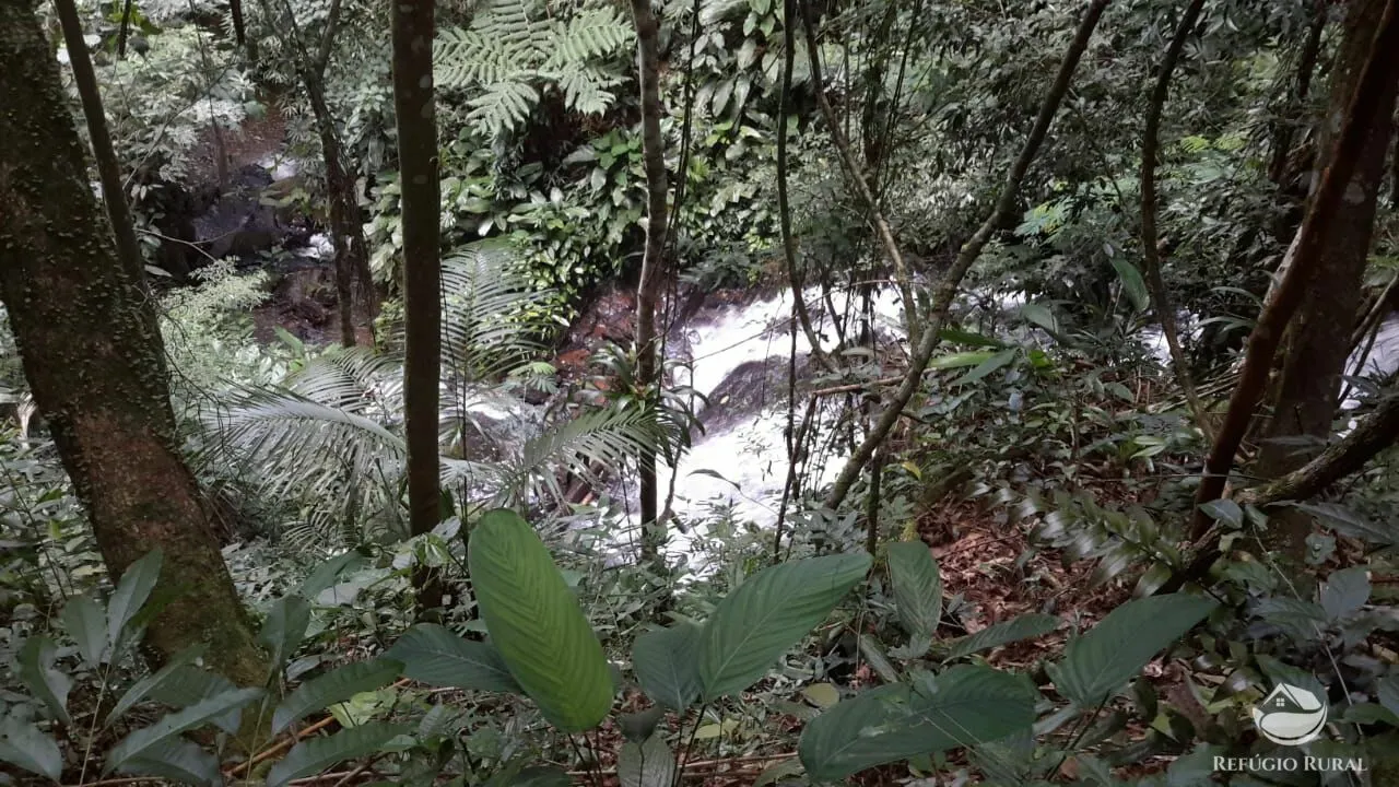 Fazenda à venda de 484 ha em São José dos Campos, SP, Brasil