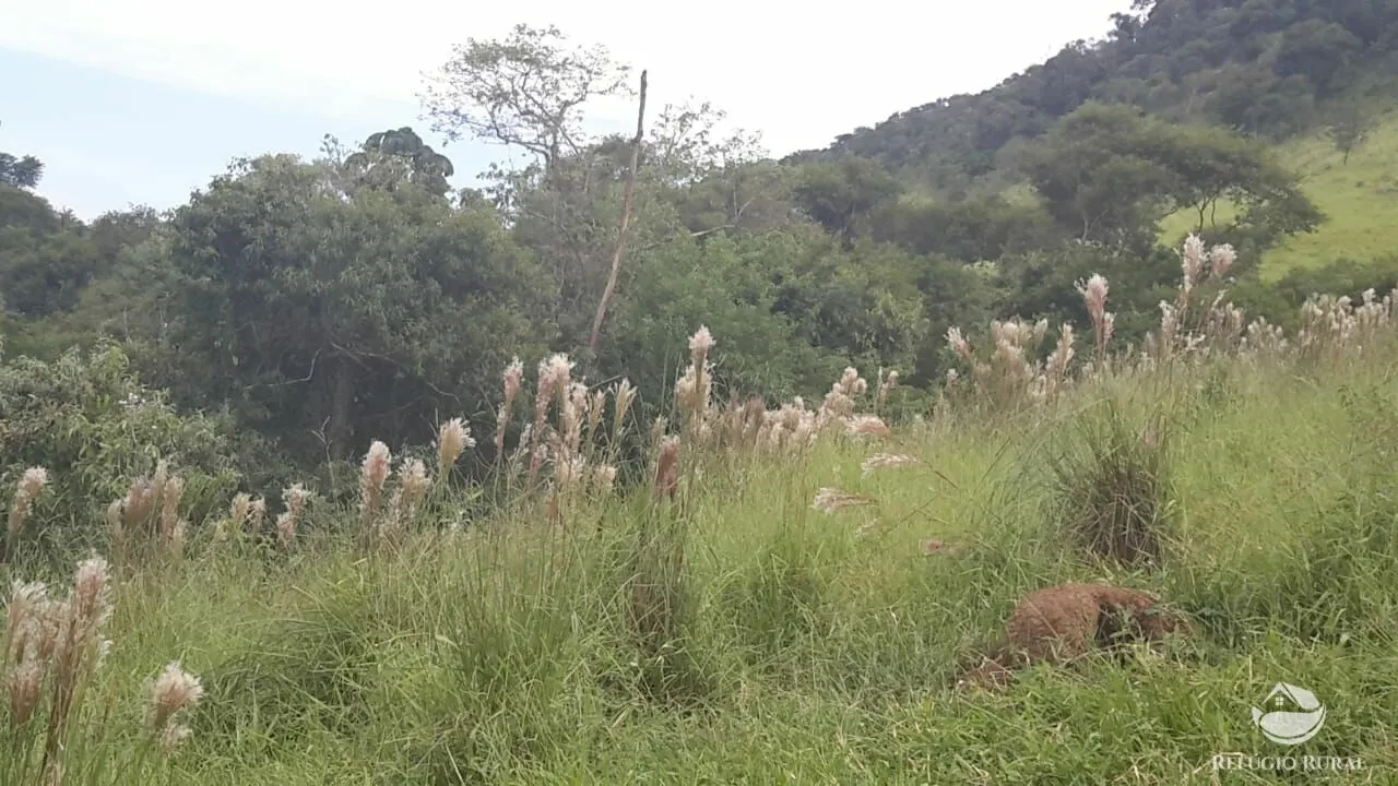 Fazenda à venda de 484 ha em São José dos Campos, SP, Brasil