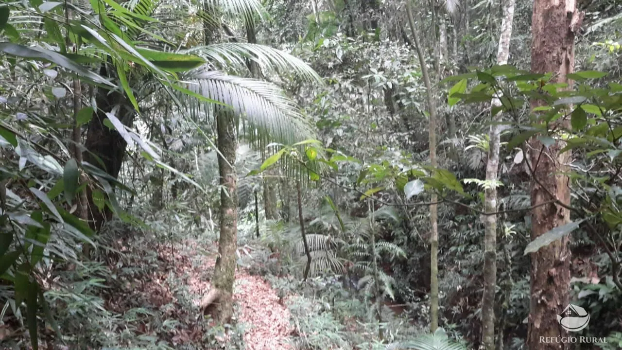 Fazenda à venda de 484 ha em São José dos Campos, SP, Brasil