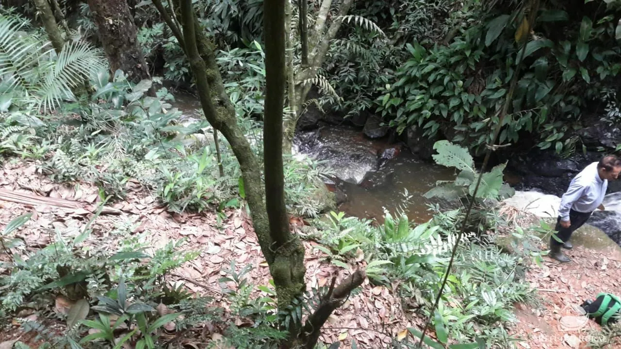 Fazenda à venda de 484 ha em São José dos Campos, SP, Brasil