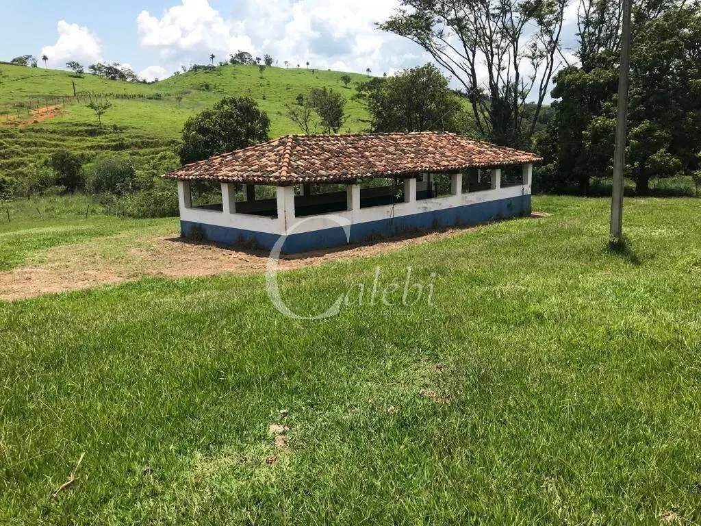 Fazenda à venda de 218 ha em Itapira, SP, Brasil