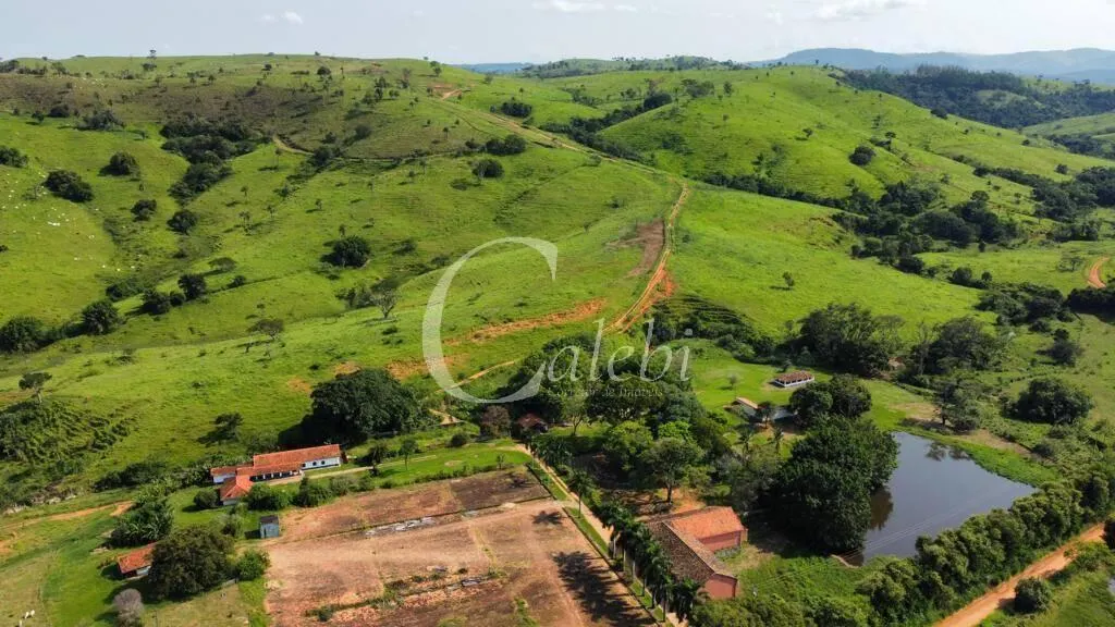Fazenda à venda de 218 ha em Itapira, SP, Brasil